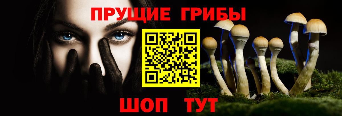 Галлюциногенные грибы Cubensis  как найти закладки  Новоуральск  Псилоцибиновые грибы мицелий  Вход с VPN 